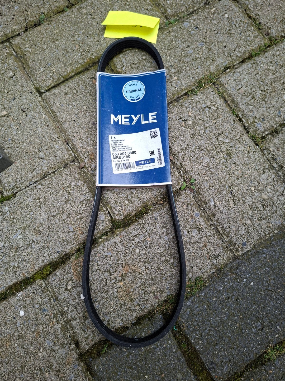 Meyle V-ribbenriem 5PK800 - Nieuw, Auto-onderdelen, Ophalen of Verzenden