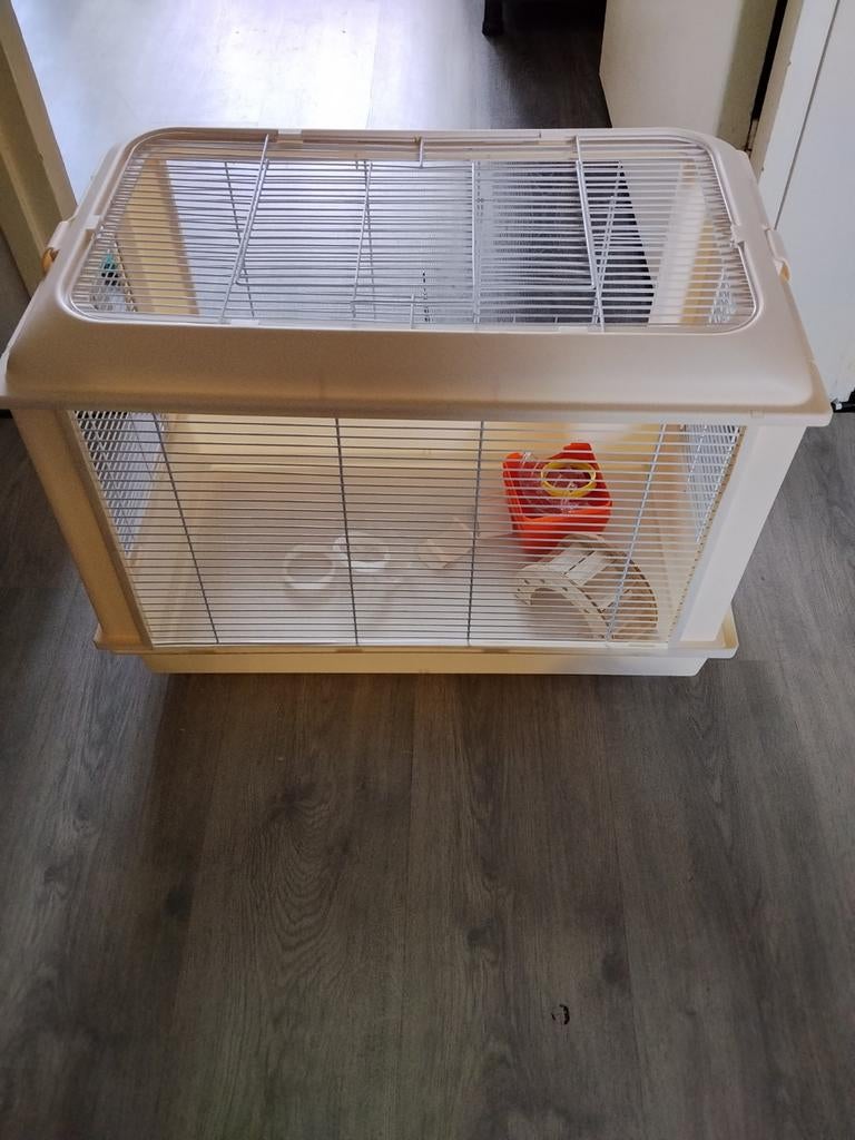 Kooi, Dieren en Toebehoren, Knaagdieren en Konijnen | Hokken en Kooien, Kooi, Minder dan 75 cm, Ophalen, Minder dan 60 cm