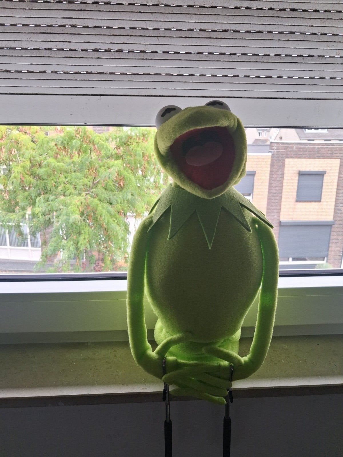 Professionele Kermit de Kikker Handpop, Ophalen of Verzenden, Nieuw