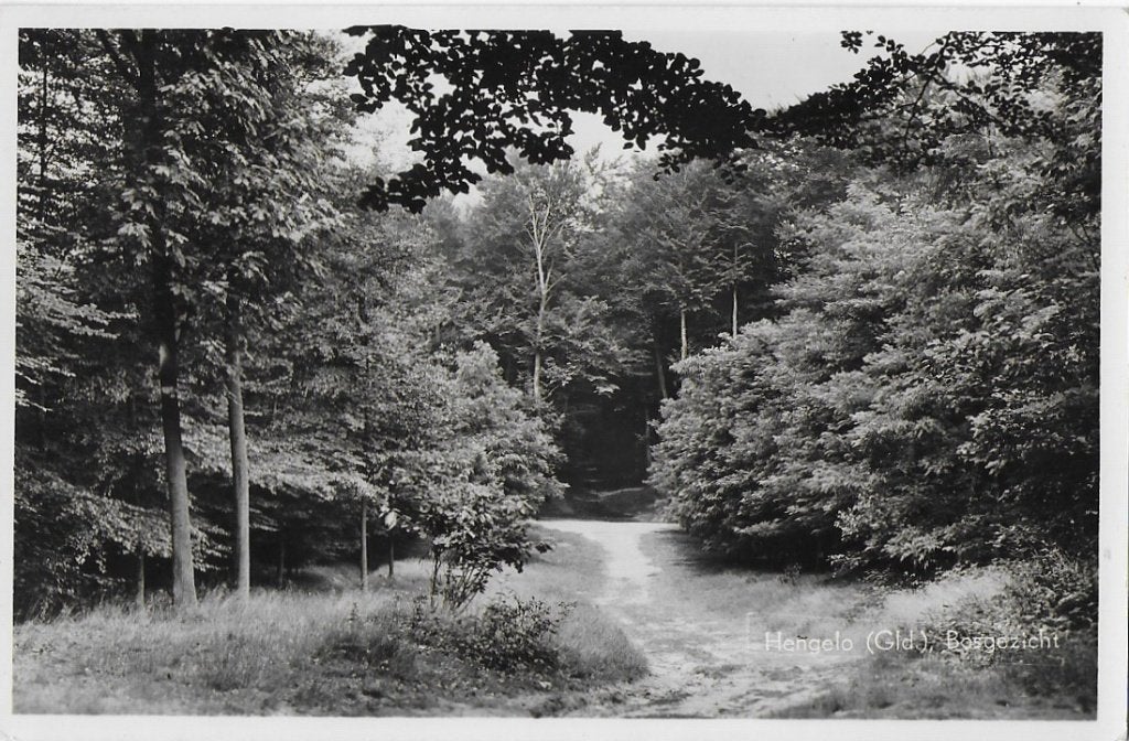 Hengelo Bosgezicht Oude Gelopen Ansichtkaart (B1772 ), Verzamelen, Ophalen of Verzenden, 1920 tot 1940, Gelopen, Overijssel