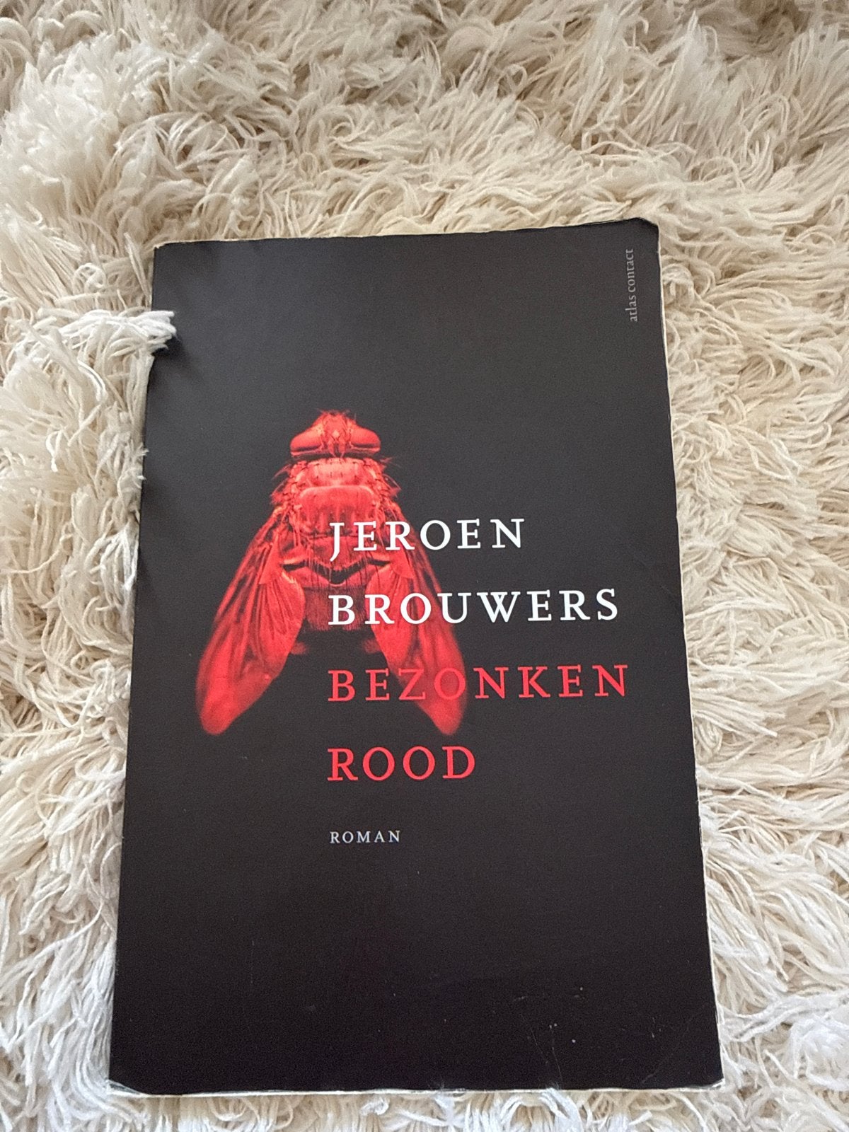 Jeroen Brouwers - Bezonken Rood (beschadigd), Boeken, Ophalen of Verzenden, Gelezen, Nederland