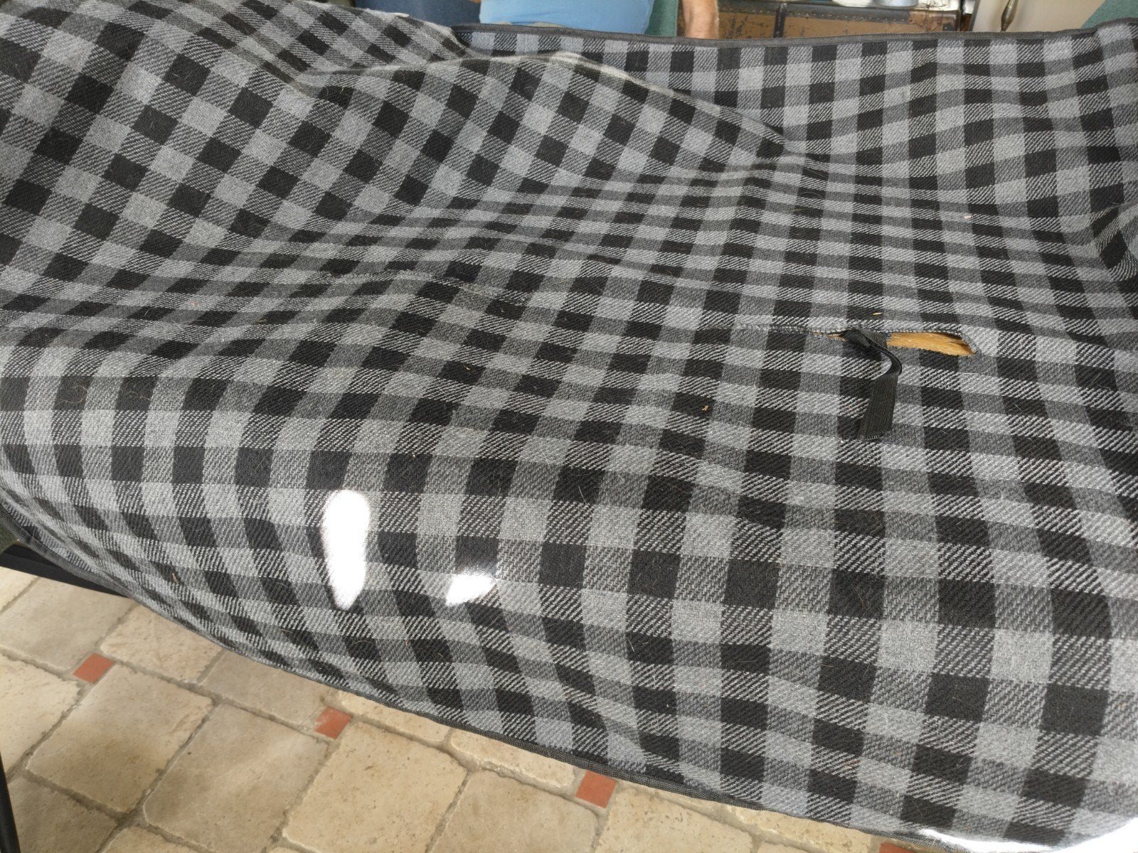 Zoofari Hondenkleed - Geruit, Grijs/Zwart, Gebruikt, 100 tot 150 cm, Grijs, Ophalen of Verzenden