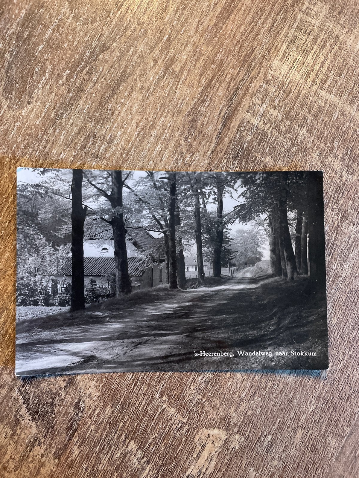 Oude ansichtkaart 's-Heerenberg, Wandelweg naar Stokkum, Ophalen of Verzenden, 1960 tot 1980, Gelopen, Gelderland