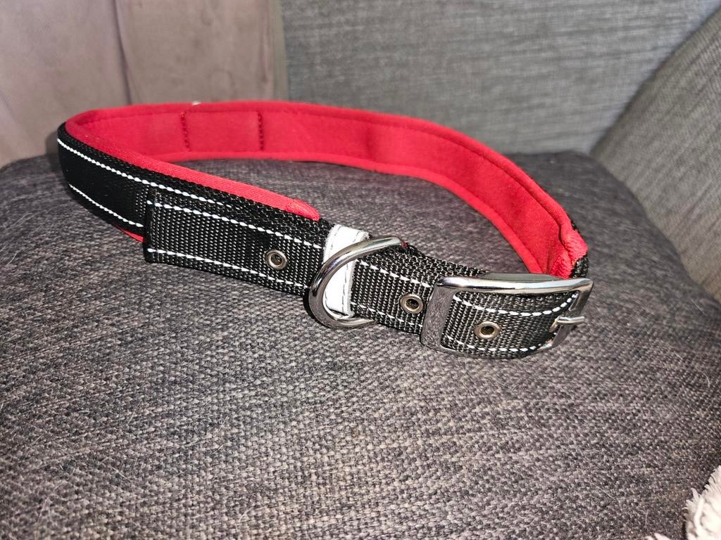 Hondenhalsband, Ophalen of Verzenden, Nieuw