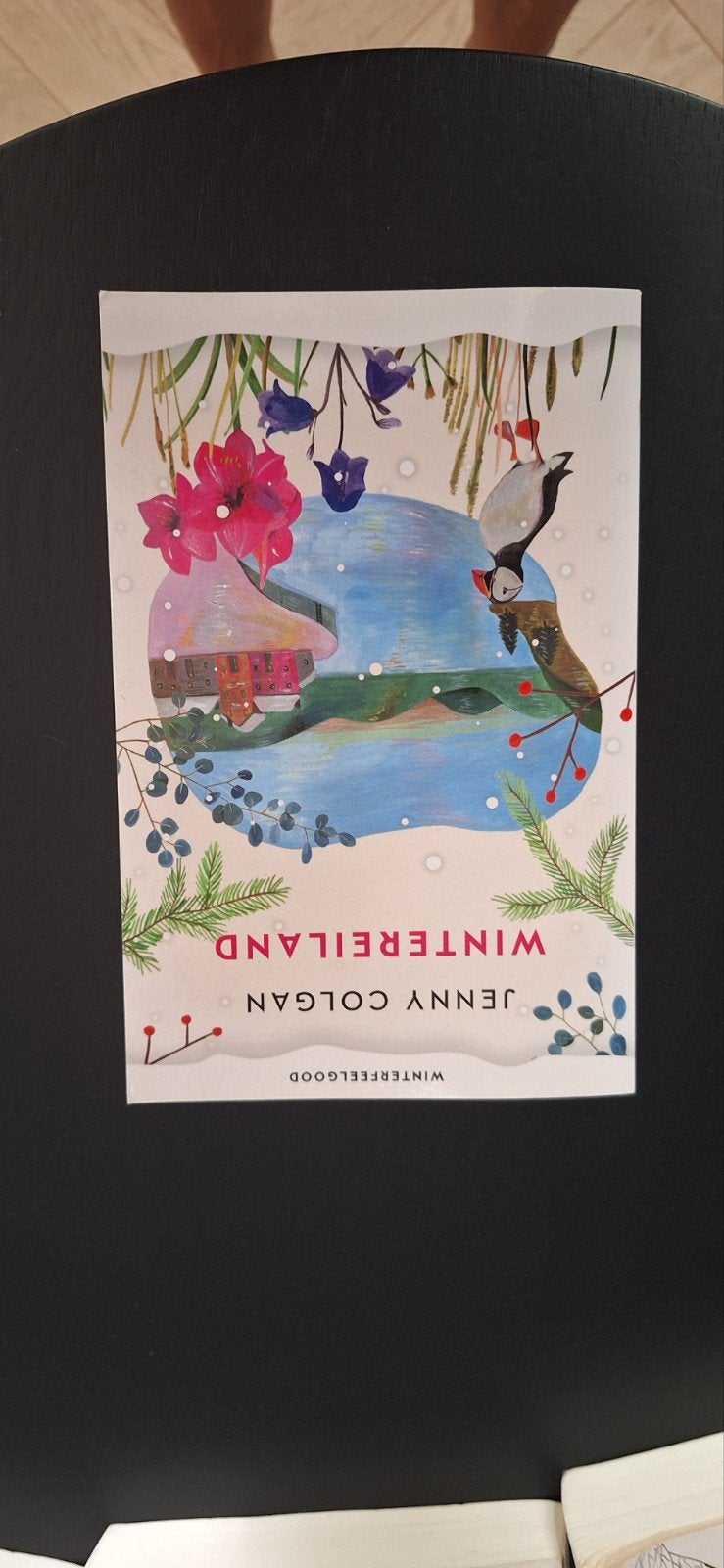 Wintereiland - Jenny Colgan, Ophalen of Verzenden, Zo goed als nieuw, Jenny Colgan