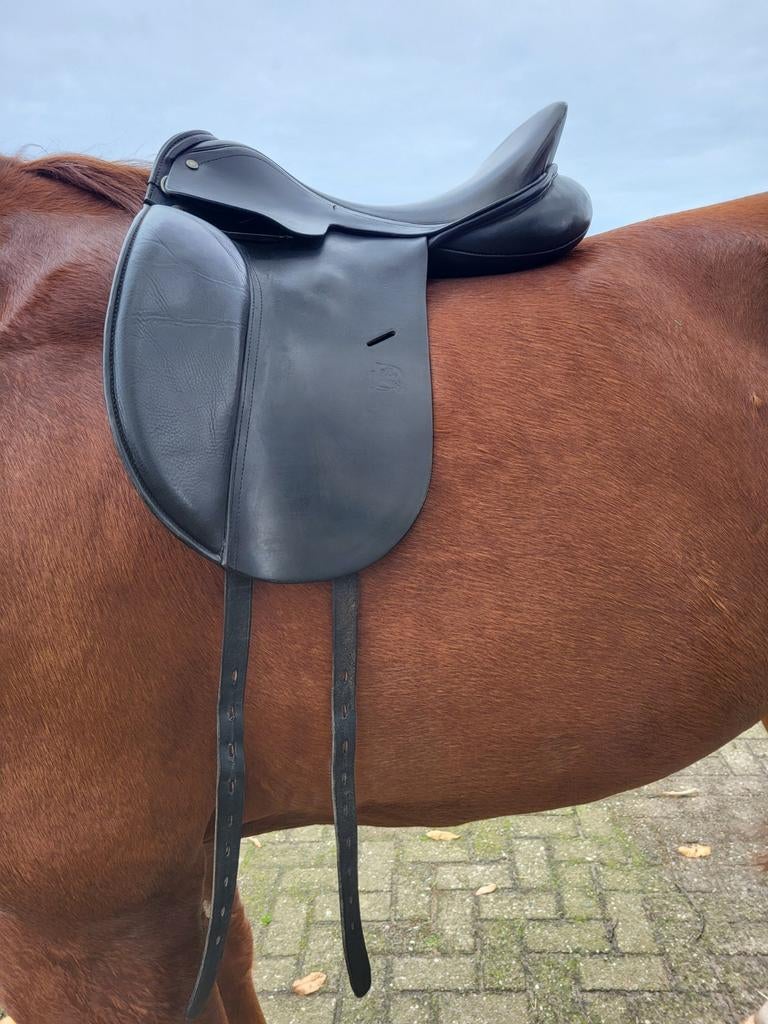 Daaleman dressuurzadel, rijzadel paard zwart leer, Dieren en Toebehoren, Paarden en Pony's | Zadels, Ophalen of Verzenden, Gebruikt
