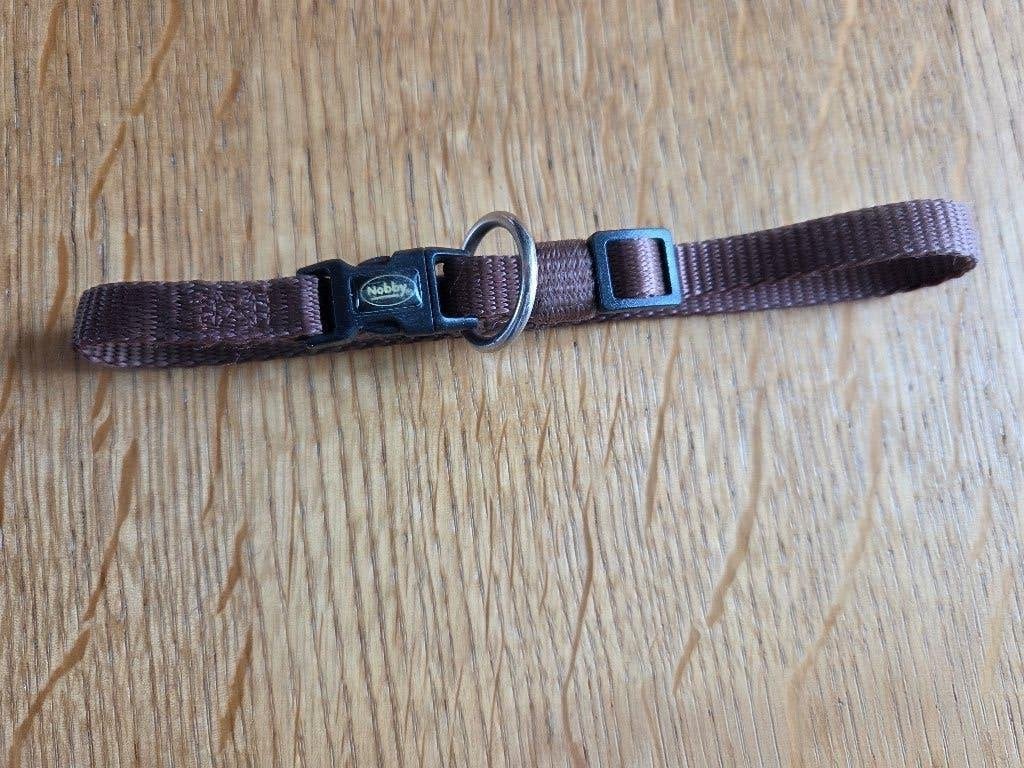 Honden puppy hals band bandje Nobby bruin, Overige merken, Ophalen of Verzenden, Zo goed als nieuw, Halsband