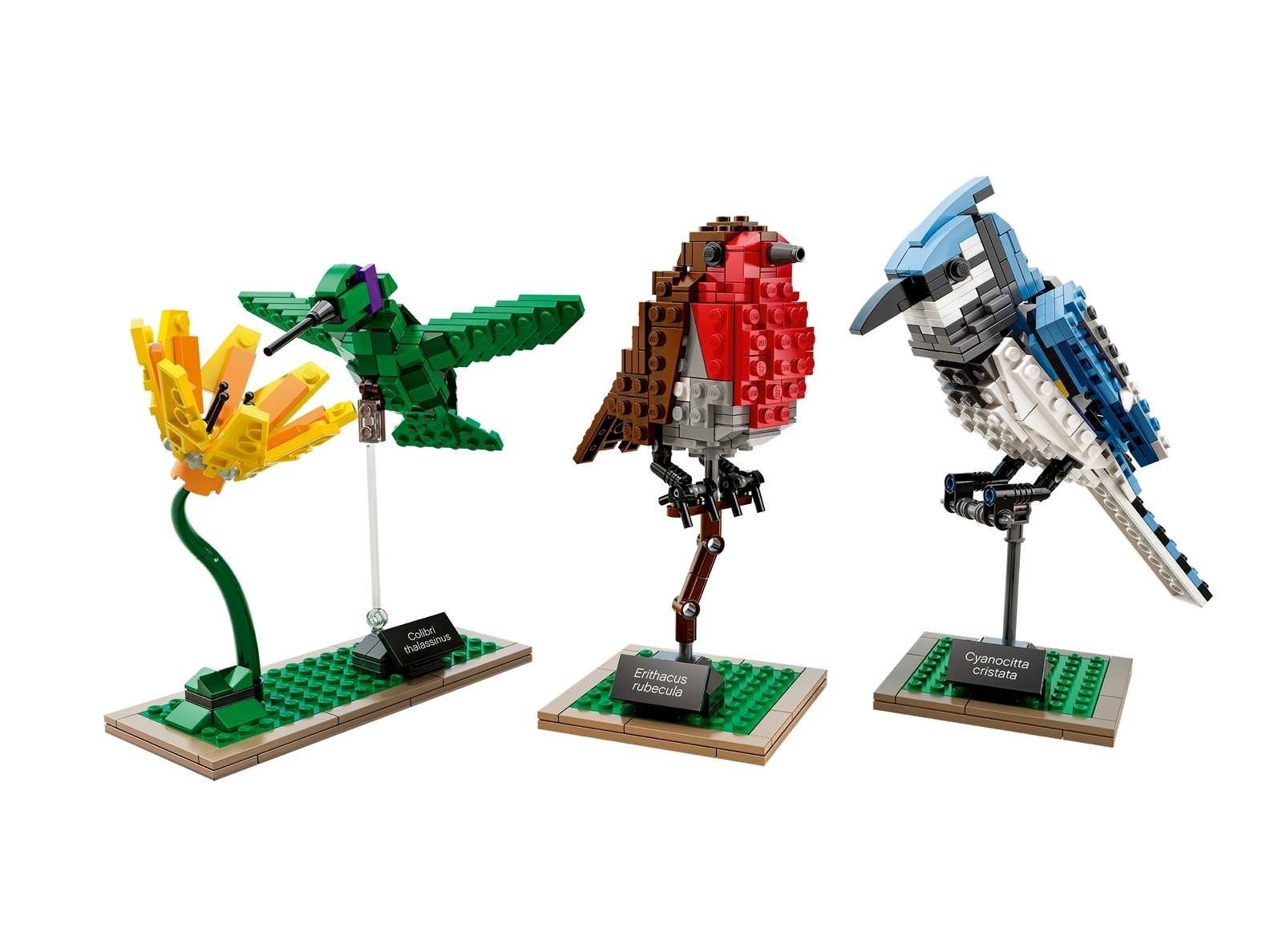 Lego Creator Expert Vogels (Kolibrie, Roodborstje, Gaai), Ophalen, Gebruikt, Overige merken