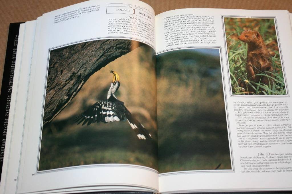 Safari - Reisverslag Fotograaf Oost-Afrika Günter Ziesler, Boeken, Ophalen of Verzenden, Gelezen, Natuur algemeen