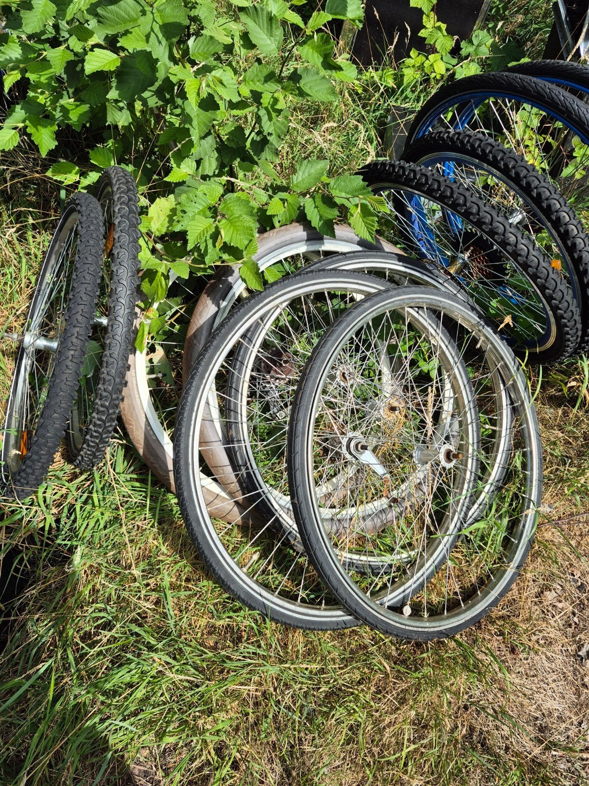fietsenvelgen, Fietsen en Brommers, Ophalen