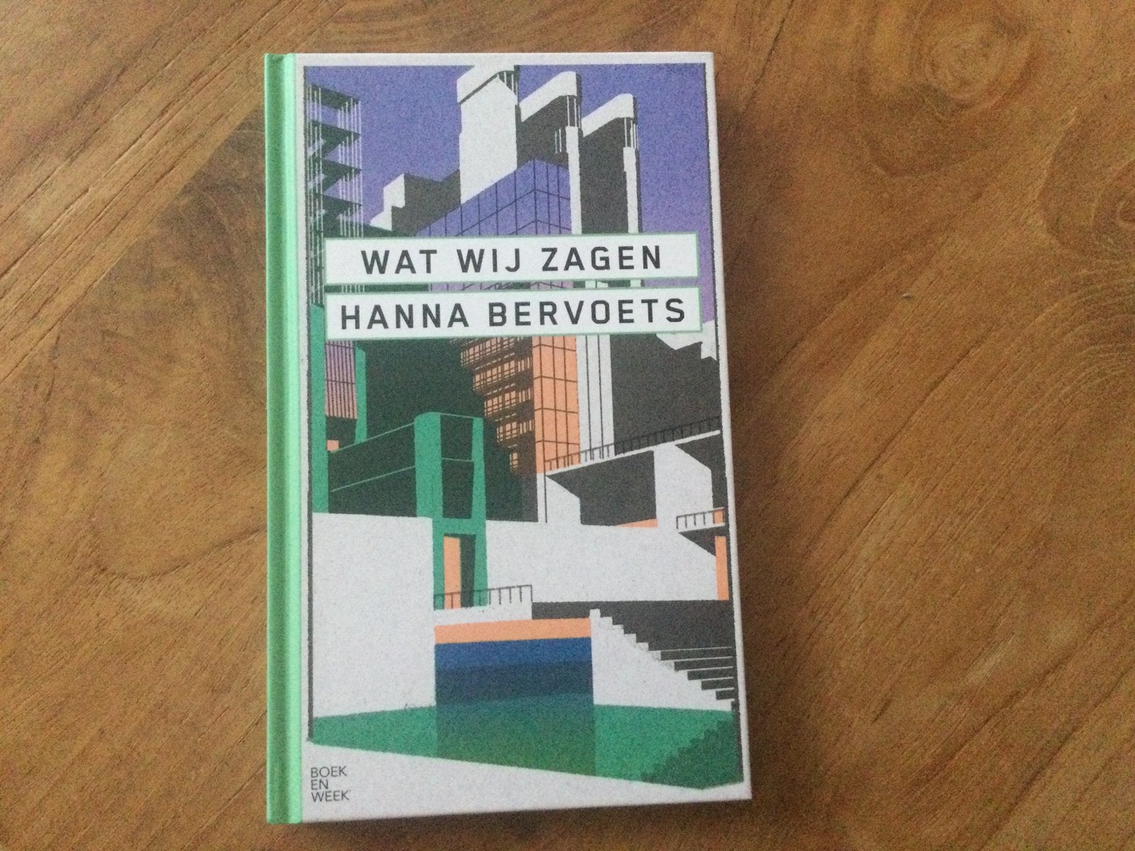 Hanna Bervoets, Wat wij zagen ….., Boeken, Ophalen of Verzenden, Nieuw
