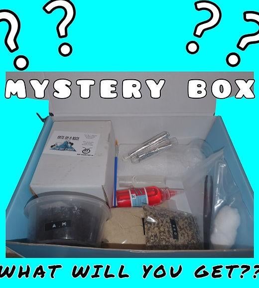 Mieren mystery box, Mieren