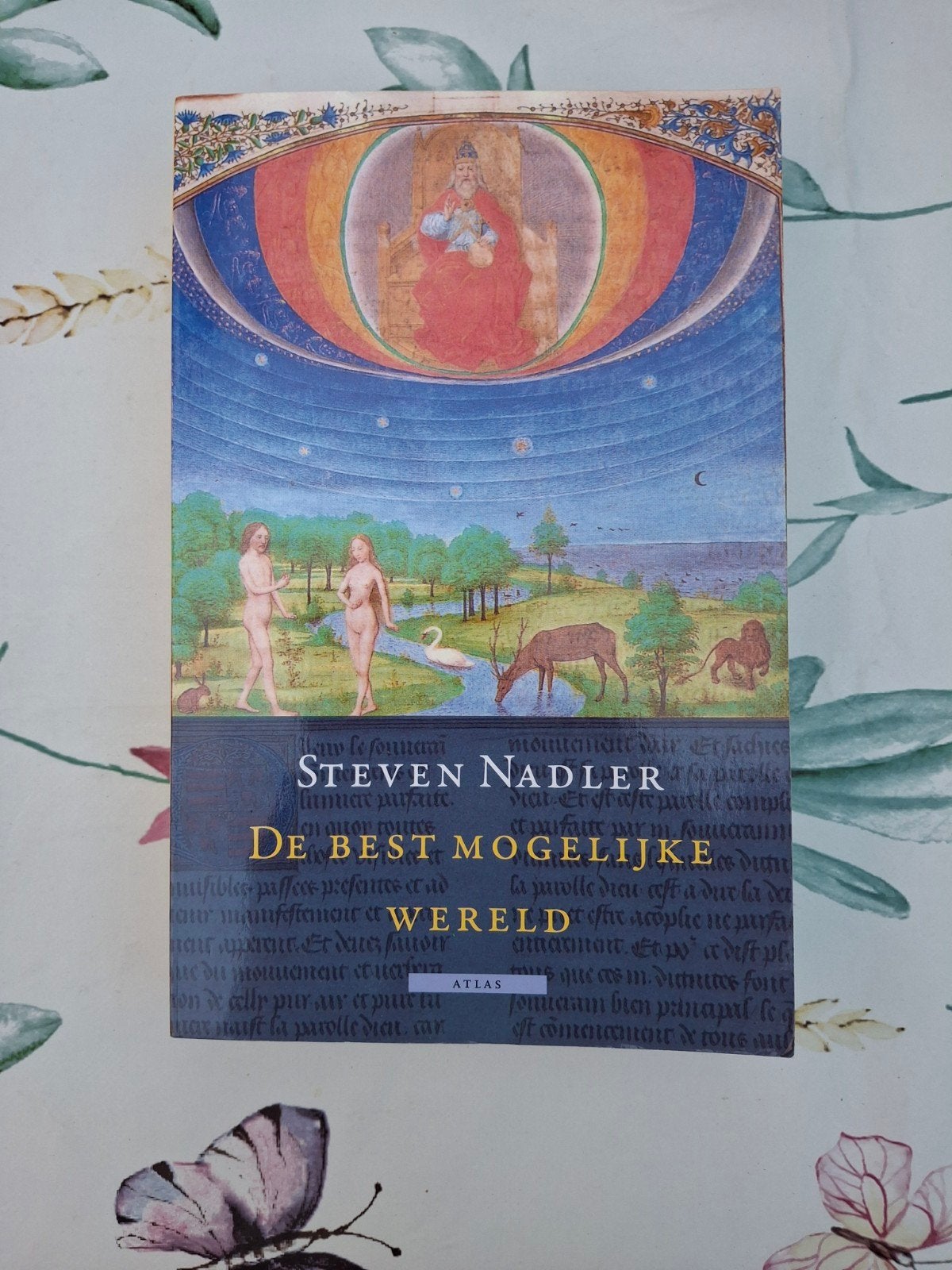 Steven Nadler - De best mogelijke wereld, Boeken, Filosofie, Ophalen of Verzenden, Zo goed als nieuw, Steven Nadler
