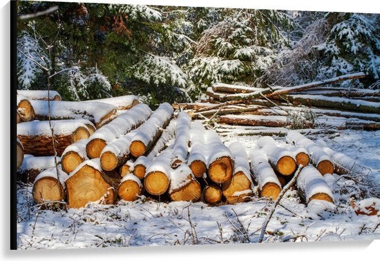 Groot Canvas Winter Boomstam Sneeuw, Huis en Inrichting, Ophalen, 80 cm, Meerkleurig, Nieuw