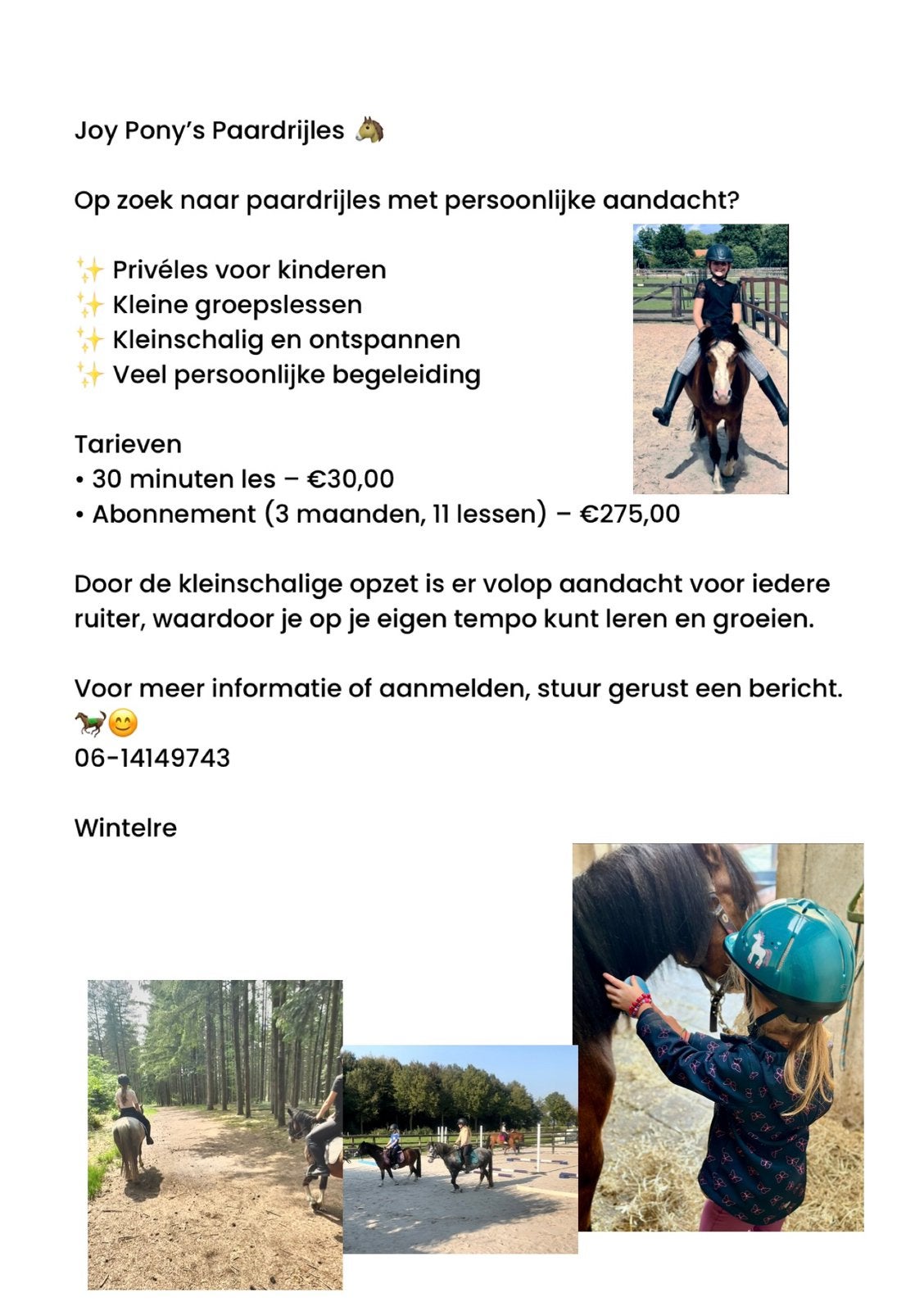 Paardrijles, Diensten en Vakmensen, Dieren | Paarden | Verzorging, Oppas en Les