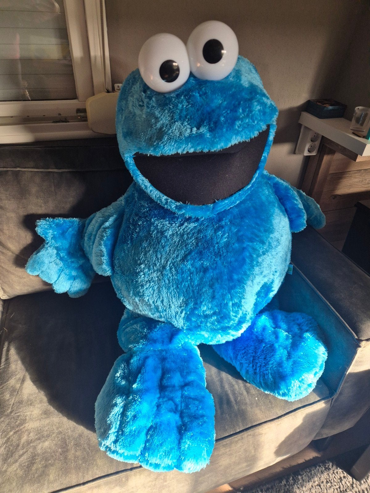 Koekiemonster knuffel, Ophalen of Verzenden, Zo goed als nieuw, Overige typen, Disney