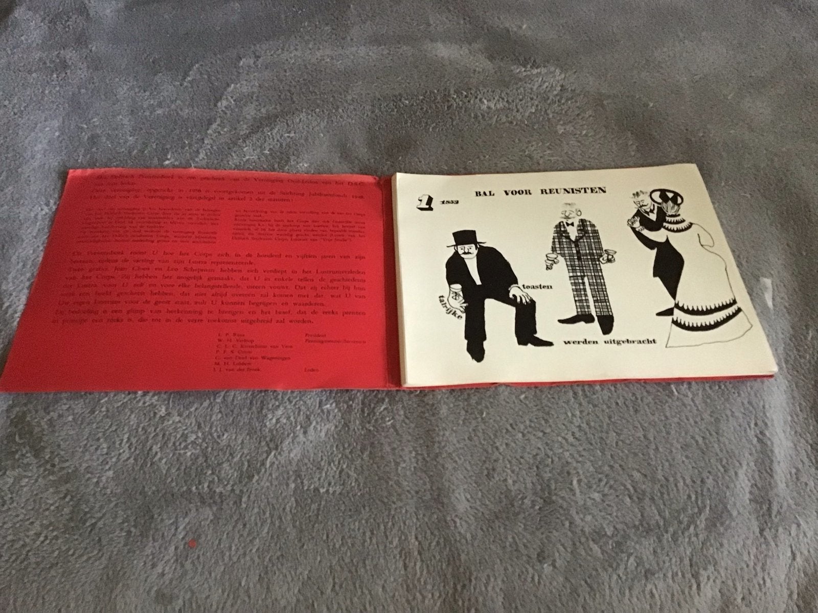 Delftsche Prentenboek - Uitklapbaar met gebruikerssporen, Ophalen of Verzenden, Gelezen, Prentenboek