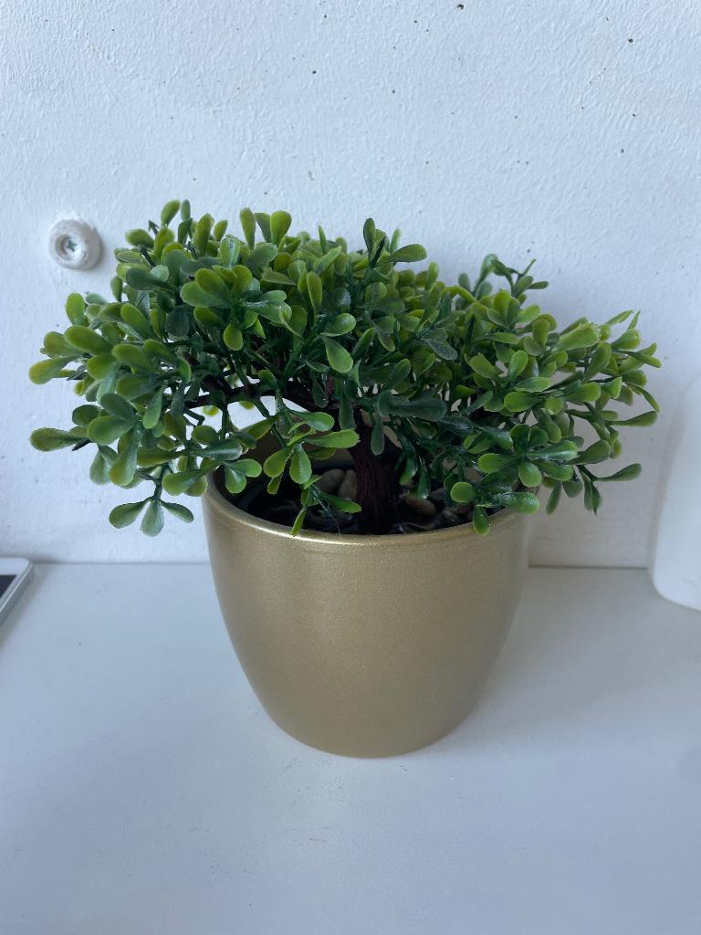 Kunst Bonsai boompje met gouden bloempot, Ophalen, Halfschaduw, In pot, Minder dan 100 cm