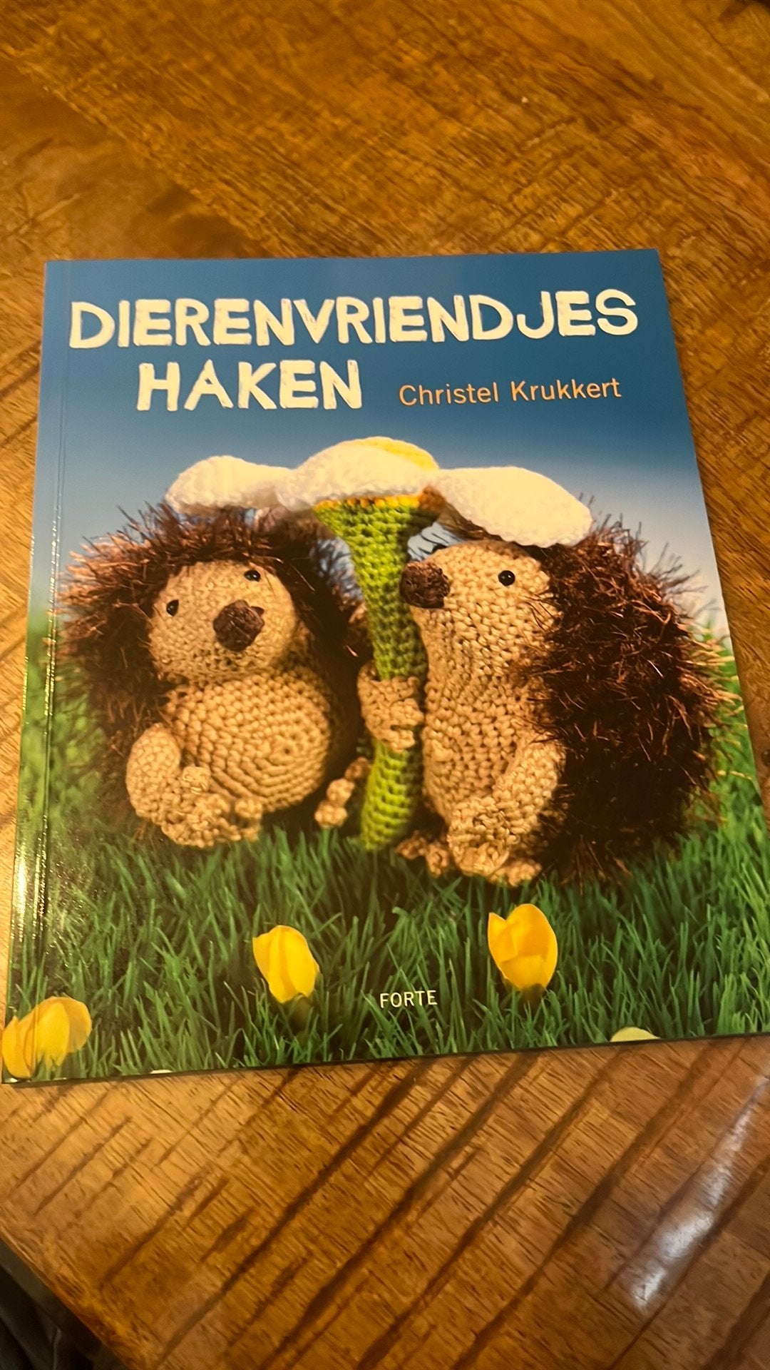 Dierenvriendjes haken, Ophalen of Verzenden, Zo goed als nieuw, Haken, Patroon of Boek