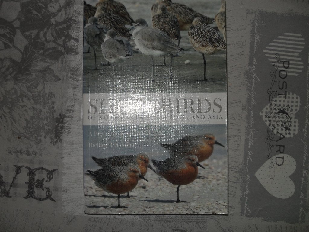 BOEK RICHARD CHANDLER-SHOREBIRDS., Gelezen, Ophalen of Verzenden, Los deel, Richard Chandler.