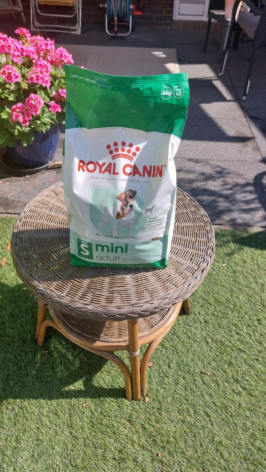 Royal canin mini adult, Ophalen of Verzenden, Hond