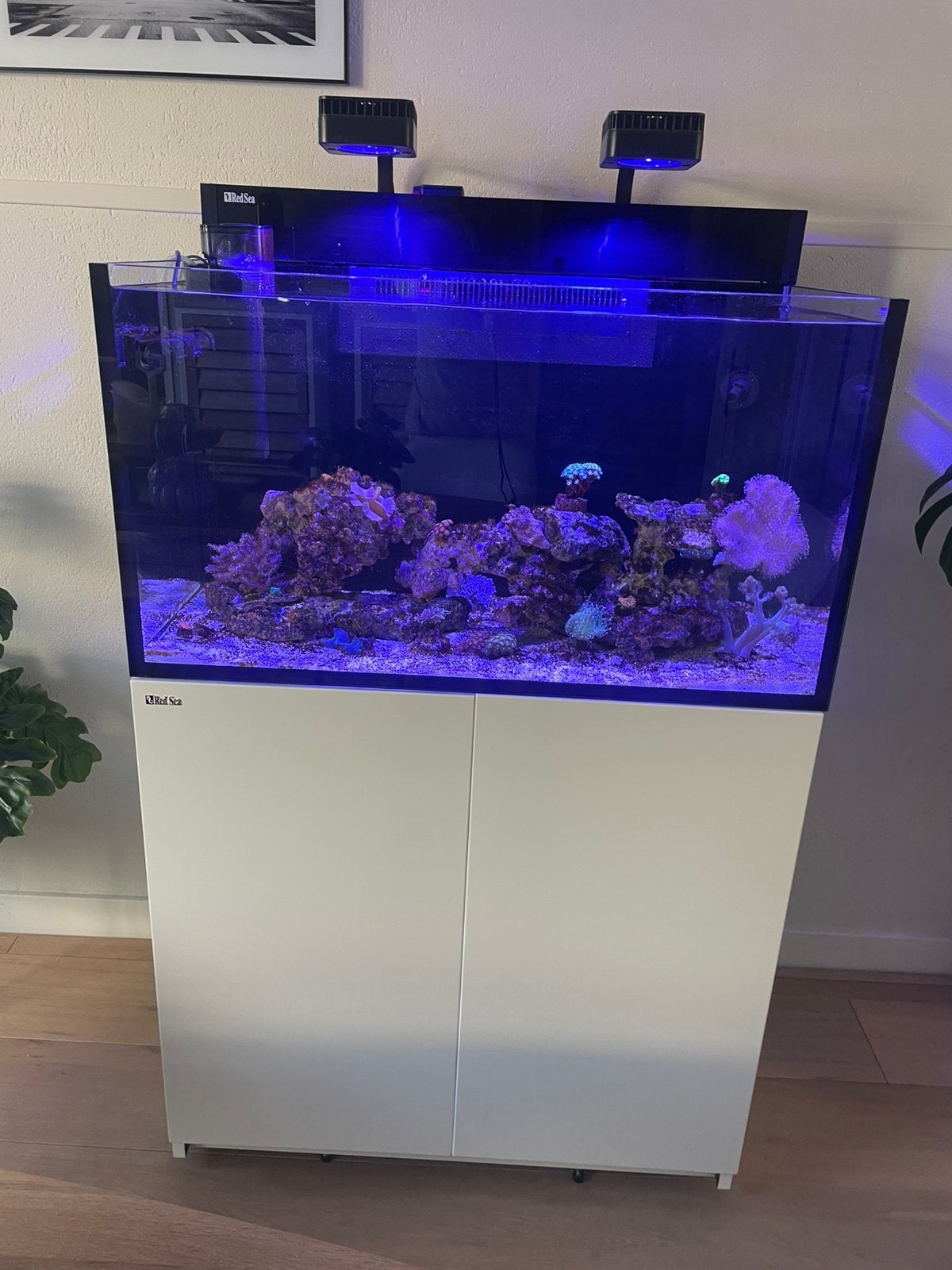 Red Sea Max Nano G2 XXL zeeaquarium zonder levende  have, Dieren en Toebehoren, Ophalen, Zo goed als nieuw, Gevuld zeewateraquarium