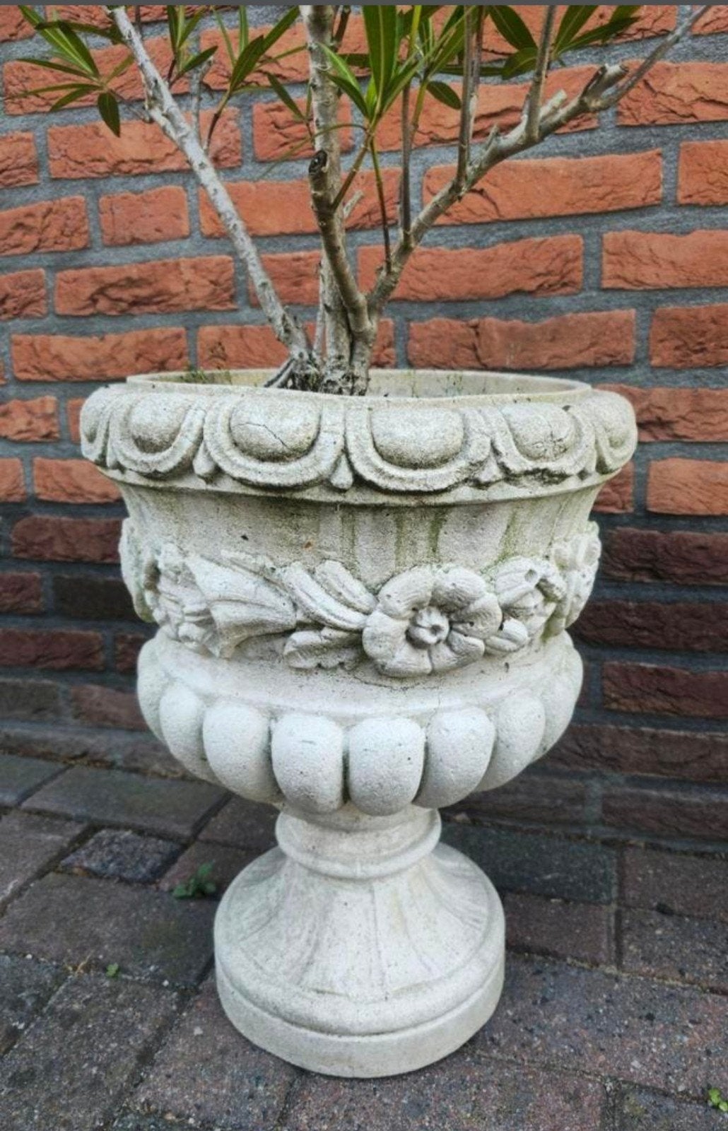 2 betonnen tuinvazen, winterhard, Tuin en Terras, Tuinvazen, Ophalen, Gebruikt