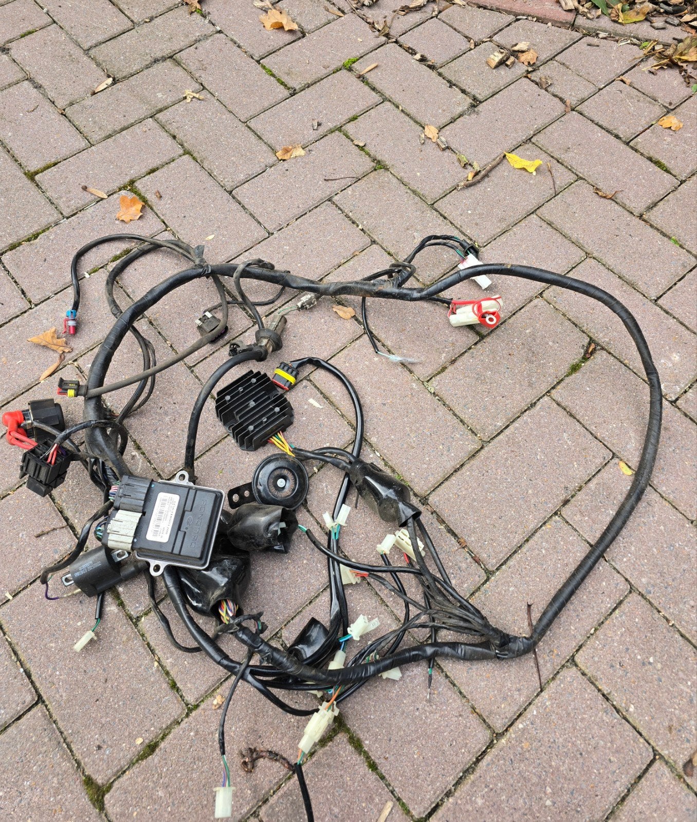 Kabelboom La souris compleet met ecu en spanningsregelaar, Ophalen of Verzenden, Zo goed als nieuw, Overige typen, Overige merken