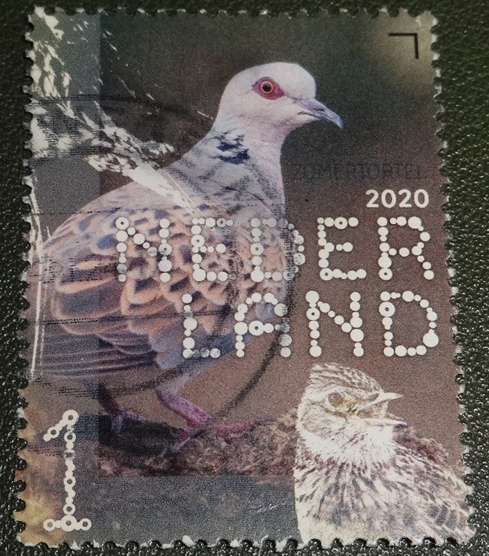 Beleef de Natuur - 3828 - 2020 - Zomertortel - PNe01-07, Verzenden, Na 1940, Gestempeld