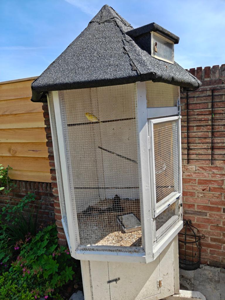 GRATIS! Vogelkooien, Ophalen, Gebruikt, Metaal, Vogelkooi