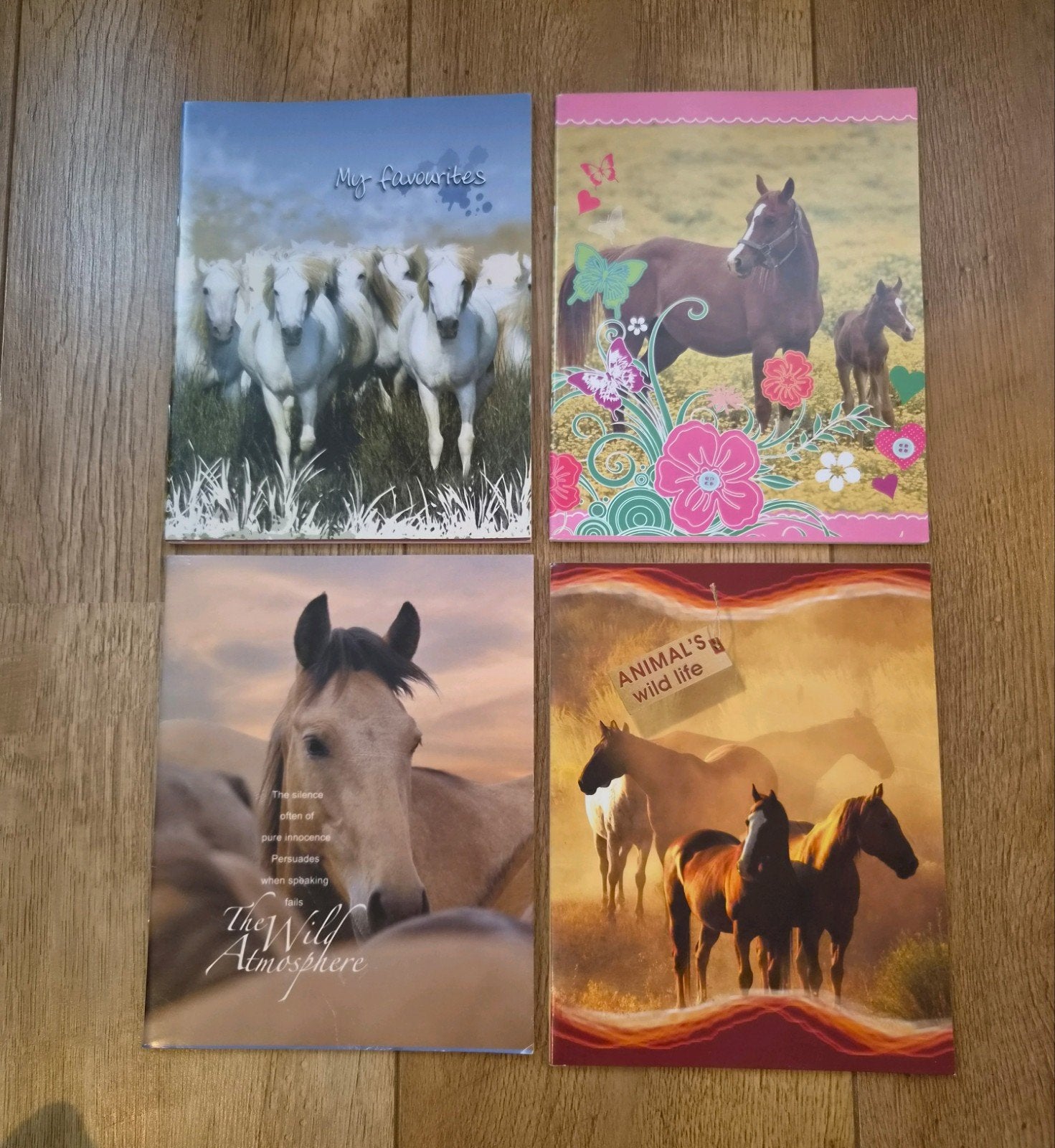 4 A5-schriftjes met paarden, Ophalen of Verzenden, Nieuw
