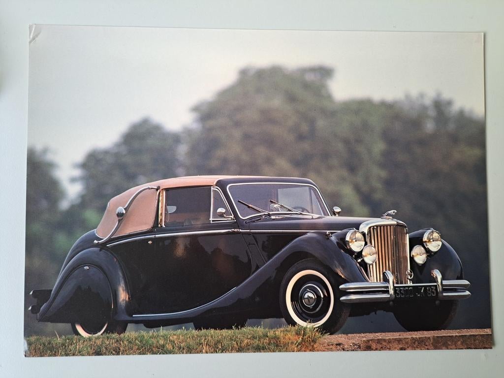 Drie prachtige Jaguar foto's., Ophalen of Verzenden, Zo goed als nieuw, Overige merken