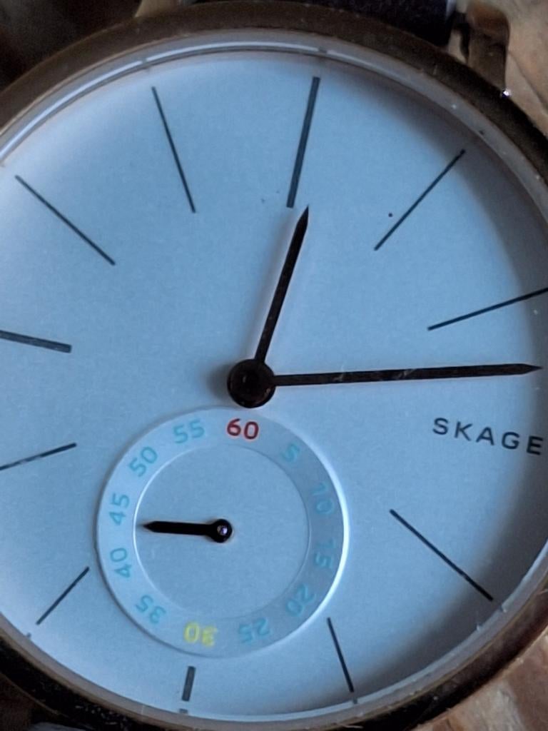 Skagen Horloge - Stijlvol en Elegant, Overige merken, Leer, Staal, Polshorloge