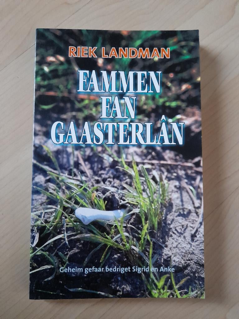 FAMMEN FAN GAASTERLAN Riek Landman friestalig, Boeken, Ophalen of Verzenden, Zo goed als nieuw