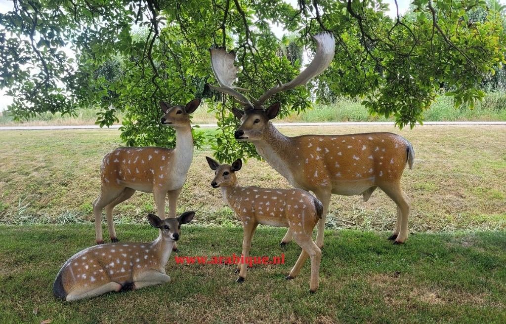 Damhert ,  Eland  , Vos , Wolf , Hert , Wildzwijn , Wolf, Tuin en Terras, Ophalen of Verzenden, Nieuw, Kunststof, Dierenbeeld