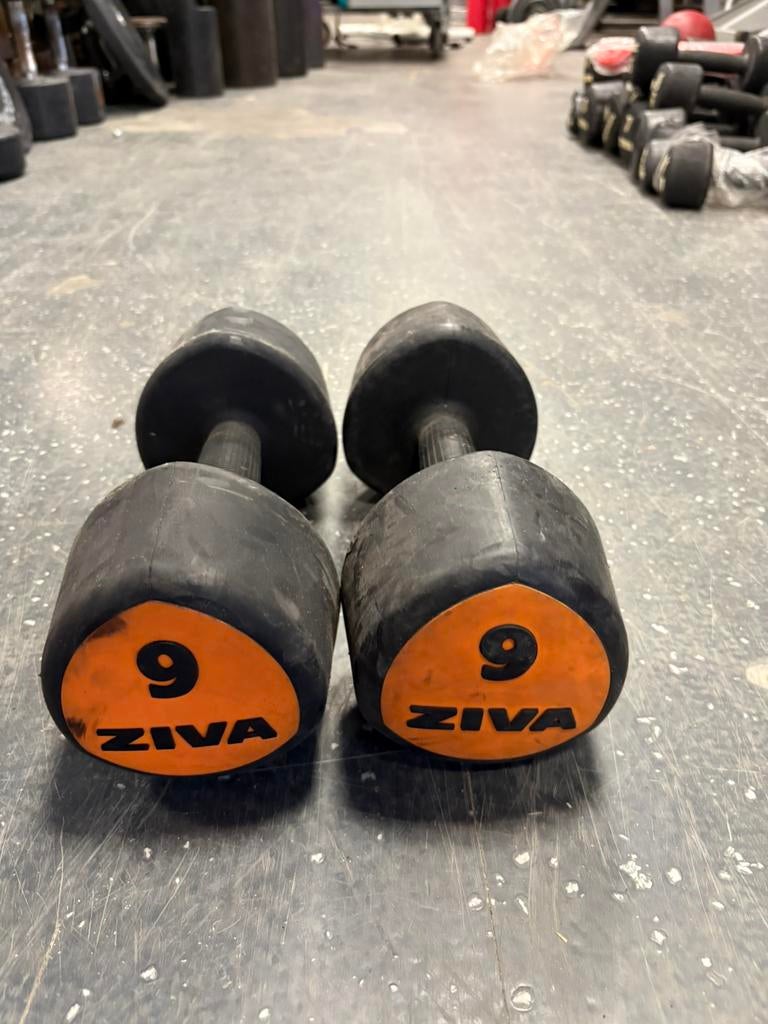 2 x 9 kg ziva dumbbells dumbbell set gewichten, Dumbbell, Gebruikt, Dumbbells, Ziva