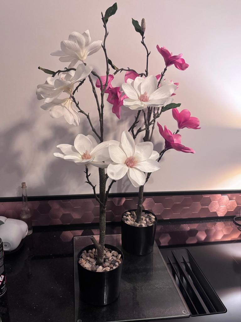 Set van 2 kunst magnolia planten – wit & roze bloesem, Ophalen of Verzenden