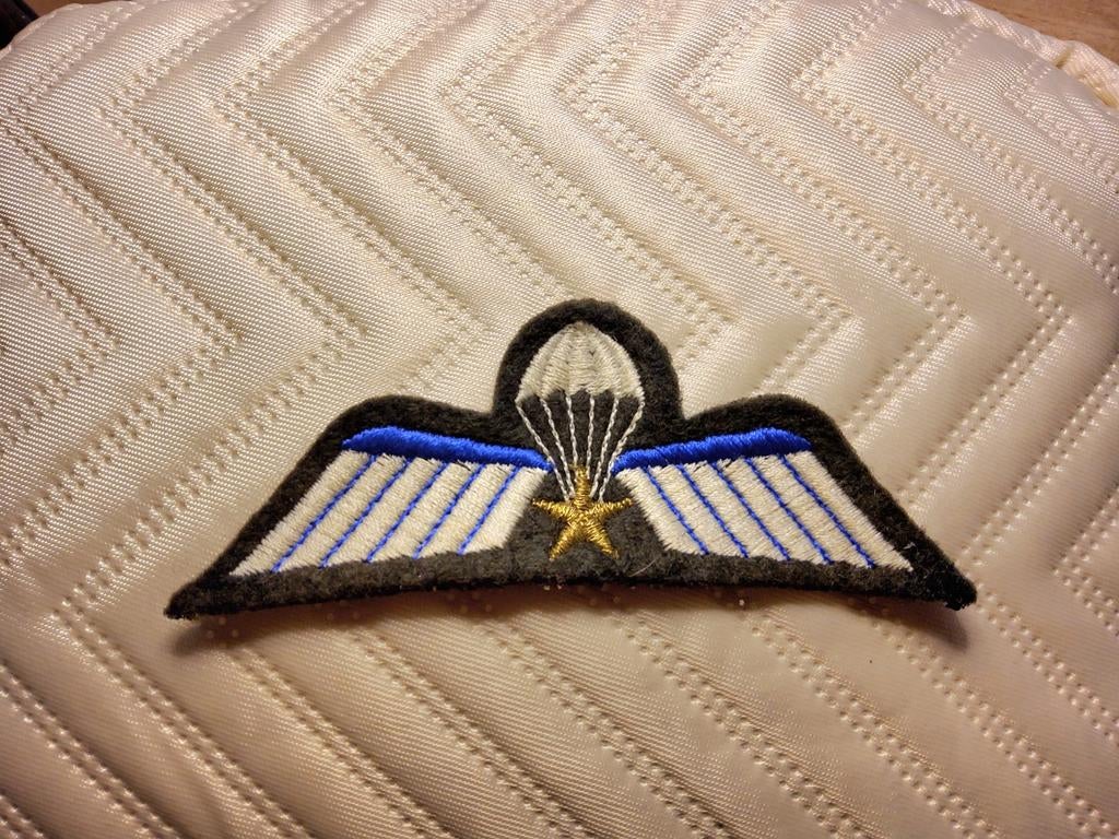 PARAWING embleem A DT, Verzamelen, Militaria | Algemeen, Ophalen of Verzenden, Landmacht, Nederland, Embleem of Badge