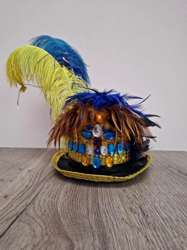 Nieuw! Carnavalshoed met Verlichting, Kleding | Dames, Carnavalskleding en Feestkleding, Ophalen of Verzenden, Nieuw, Carnaval