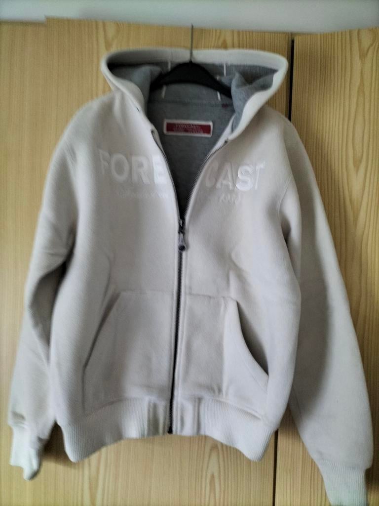 Dikke Forecast vest - Maat L - Zo goed als nieuw, Ophalen, Zo goed als nieuw, Maat 52/54 (L), Forecast