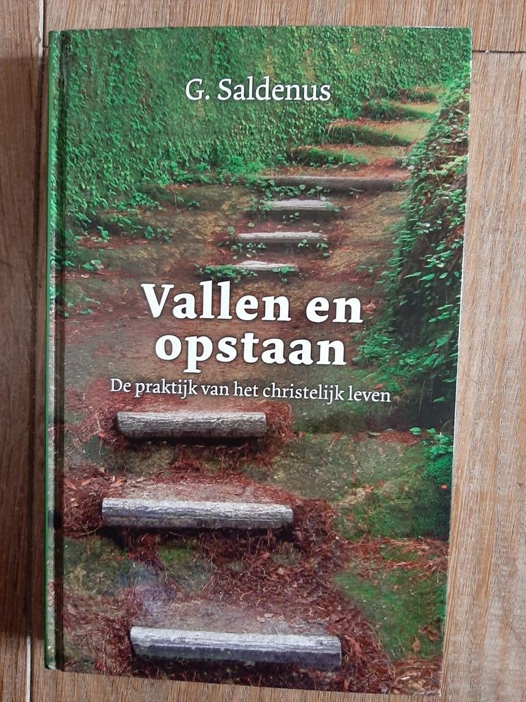 Vallen en Opstaan - G. Saldenus, Ophalen of Verzenden, Nieuw, G. Saldenus, Christendom | Katholiek
