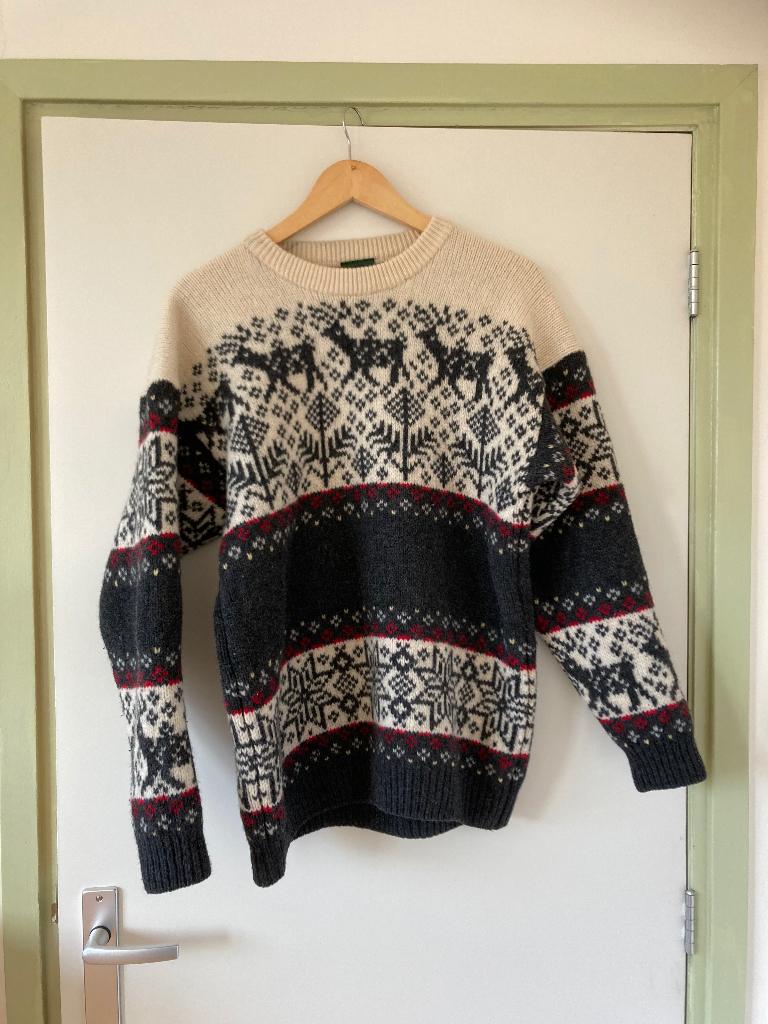 Maat L Prachtige trui Noors Scandinavisch 100 % wol Mc Neal, Kleding | Dames, Ophalen of Verzenden, Gedragen, Maat 46/48 (XL) of groter