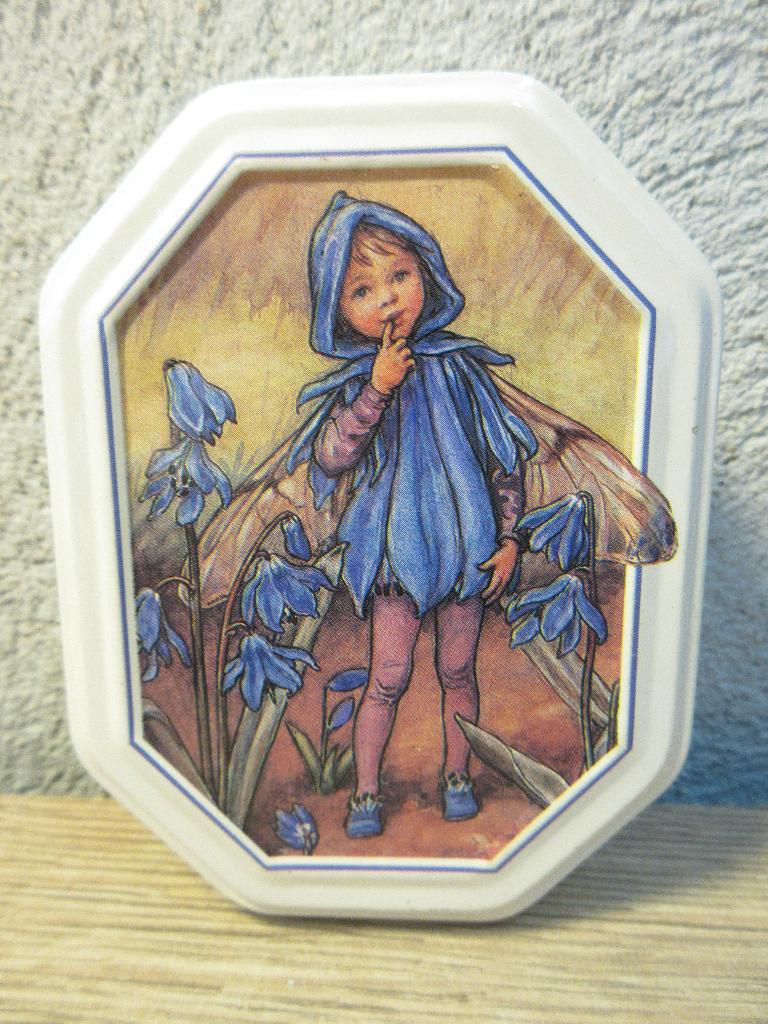 Flower fairies elven blik, Verzamelen, Ophalen of Verzenden, Gebruikt, Overige