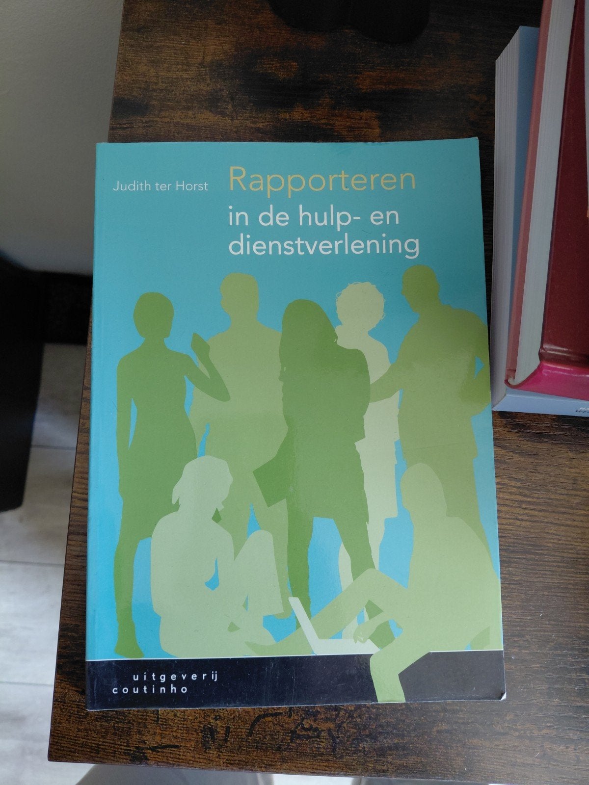 Rapporteren in de hulp- en dienstverlening -Judith ter Hors, Judith ter Horst, Zo goed als nieuw, Gamma, HBO