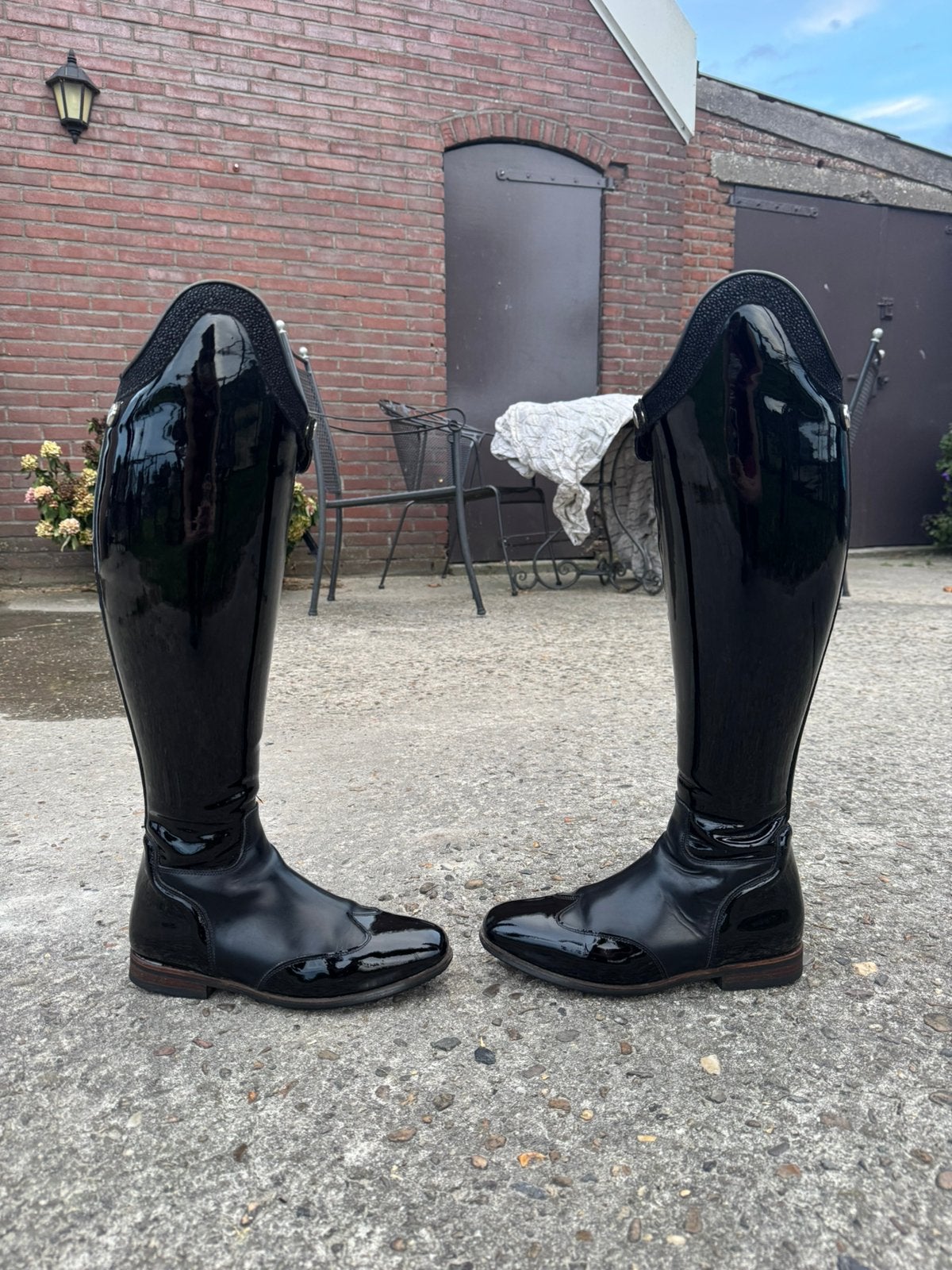 Celeris Dressuur Rijlaarzen, Dieren en Toebehoren, Ophalen, Zo goed als nieuw, Dressuur, Schoeisel