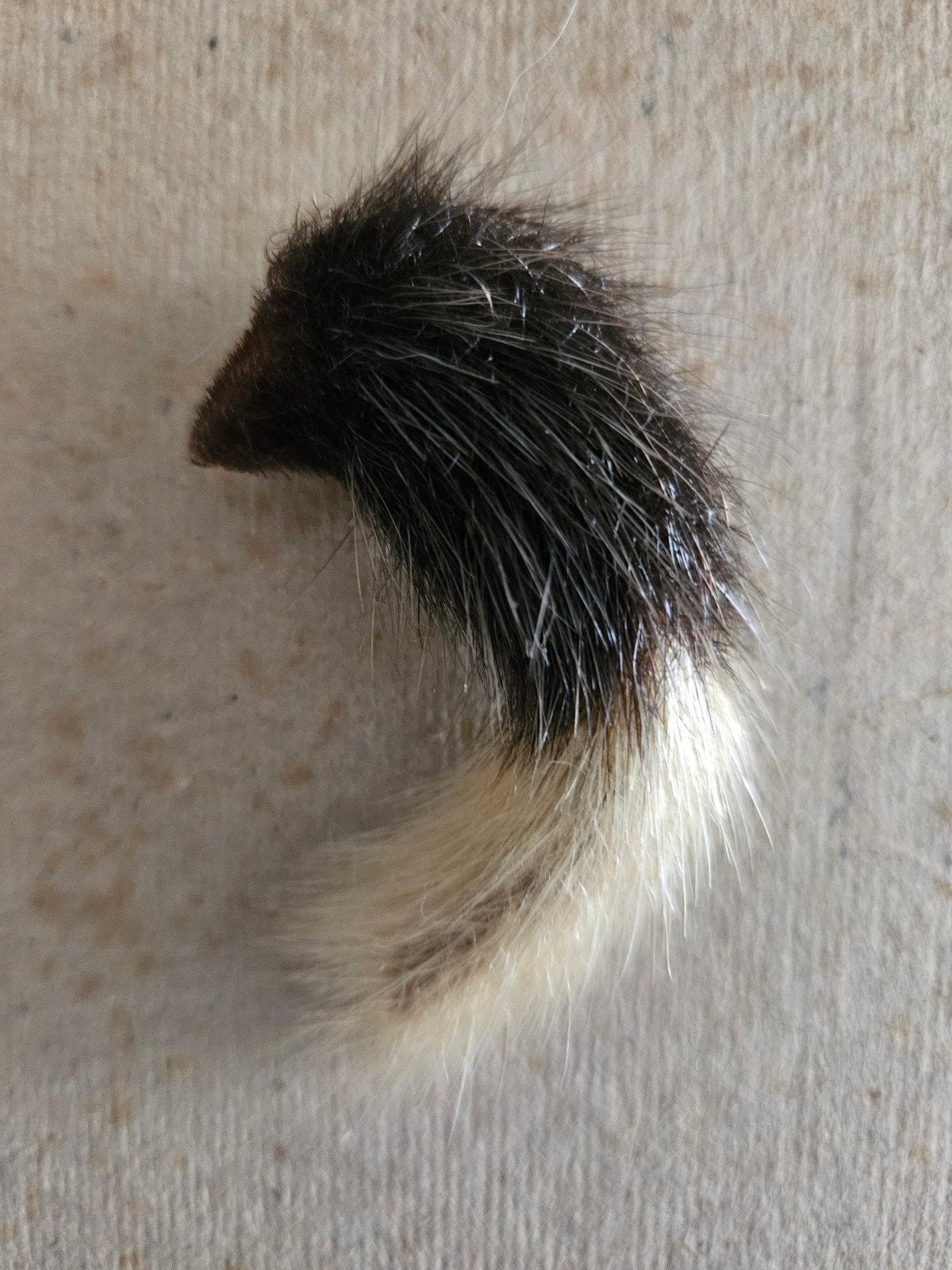 antieke bont broche, Ophalen of Verzenden, Overige materialen, Broche