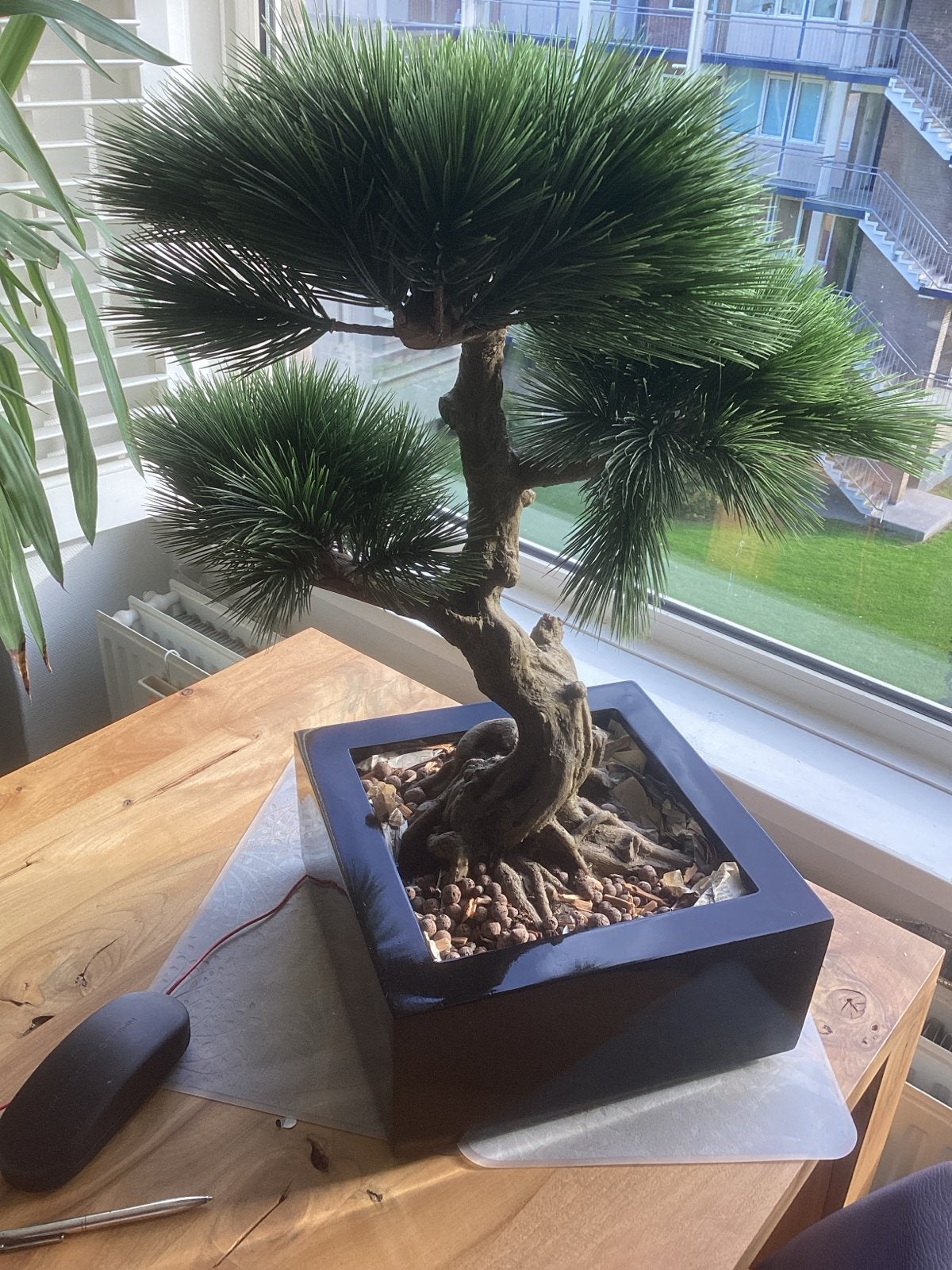 MAXIFLEUR Kunst Bonsai Groen 71 cm met Zwarte Pot, Ophalen, Binnen, Kunstplant, Overige merken