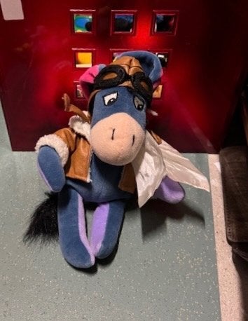 Diverse knuffels: hond, kikker, eend, muis, Iejoor en meer, Gebruikt, Overige karakters, Overige typen, Ophalen of Verzenden