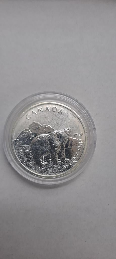 Canada 2011 Zilveren Beer 1oz Munt, Ophalen of Verzenden, Losse munt, Zilver