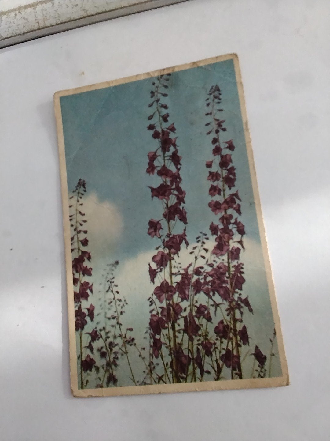 Oude kaart  bloemen opname  P.Smeele, Ophalen of Verzenden, 1920 tot 1940